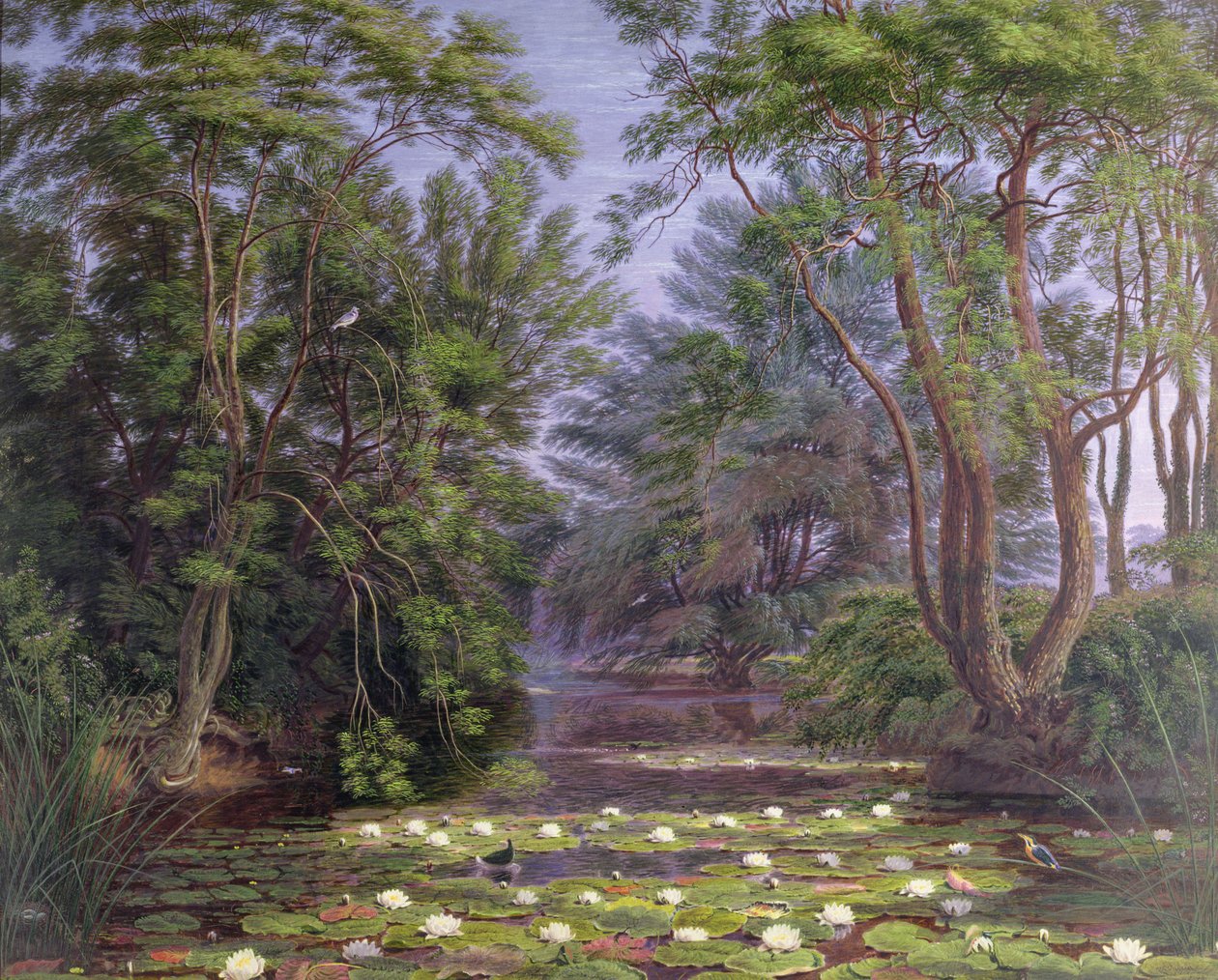 Rio Cherwell Waterlilies, 1851 de Joseph Mallord William Turner