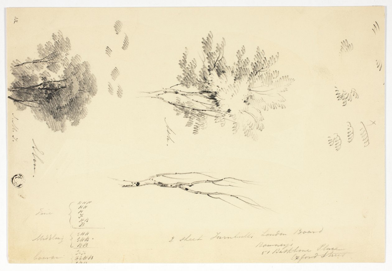 Esboços de olmos e freixos de Joseph Mallord William Turner