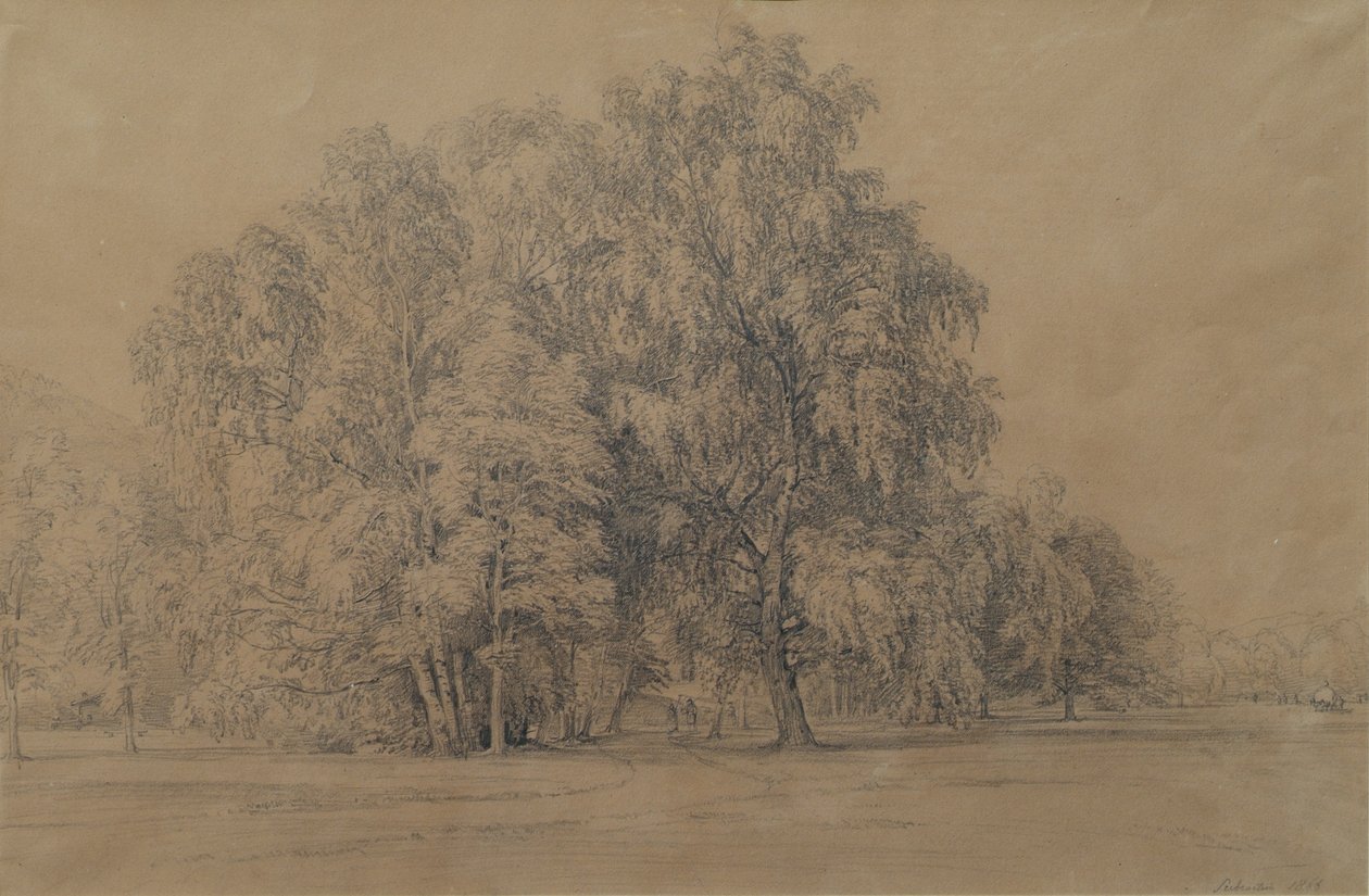 Grupo de bétulas no parque do Castelo de Seebenstein, na Baixa Áustria de Joseph Martin Höger