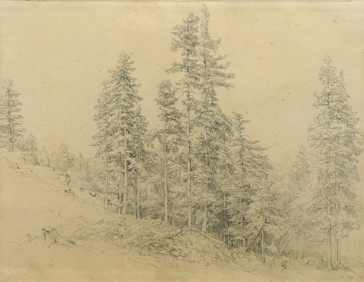 Edeltann de Joseph Martin Höger