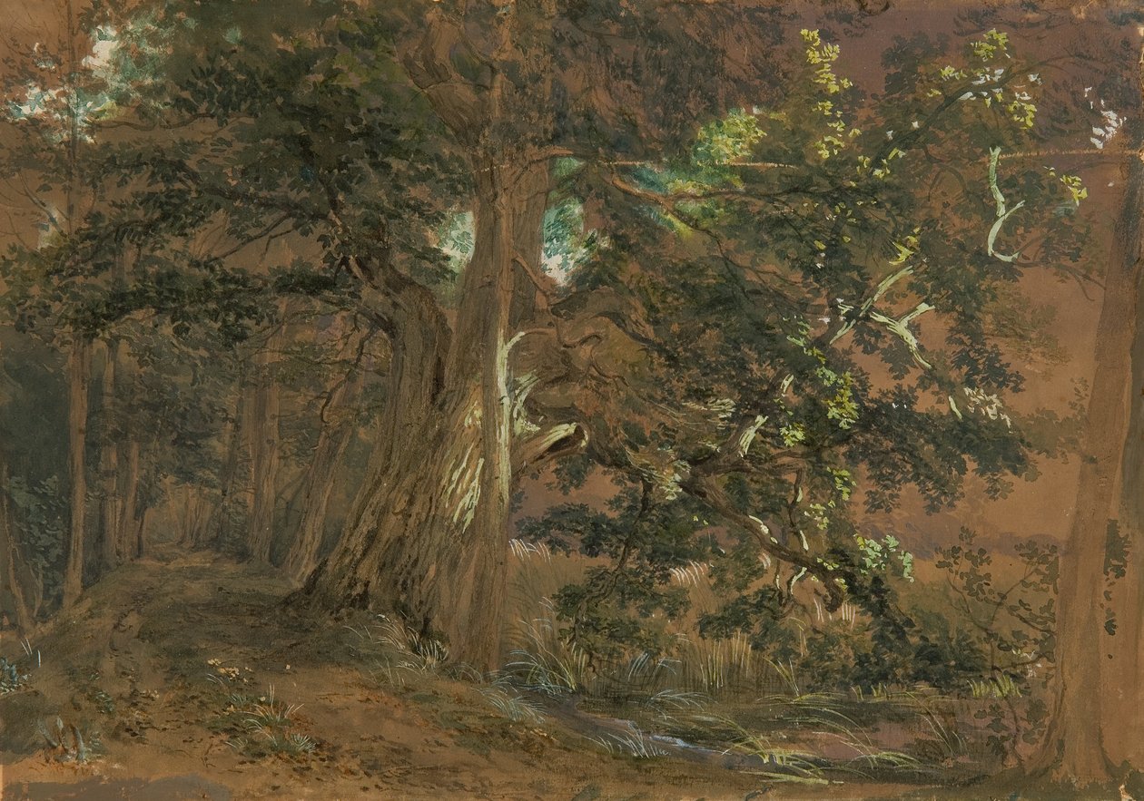 Interior da floresta perto de Lundenburg (grupo de maples num lago de montanha) de Joseph Martin Höger