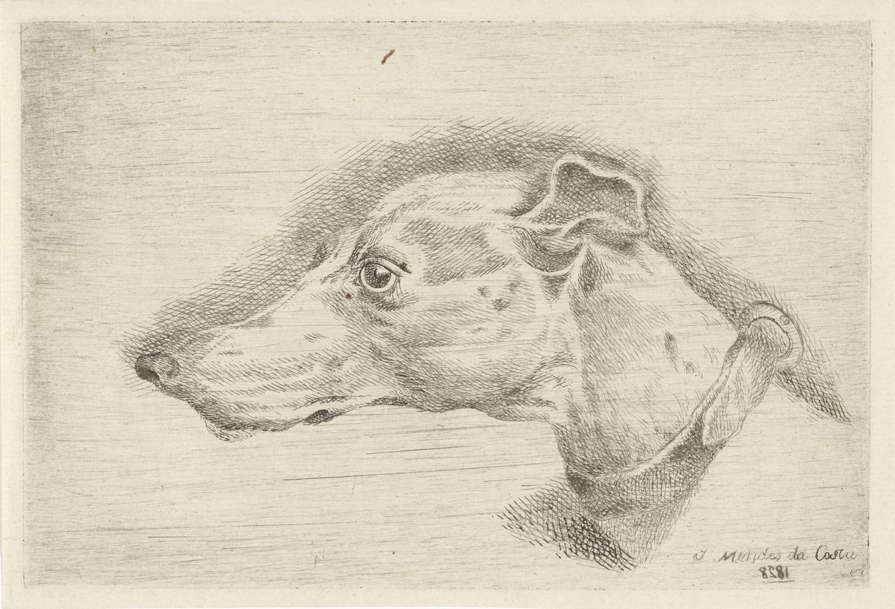 Cabeça de um galgo de Joseph Mendes da Costa