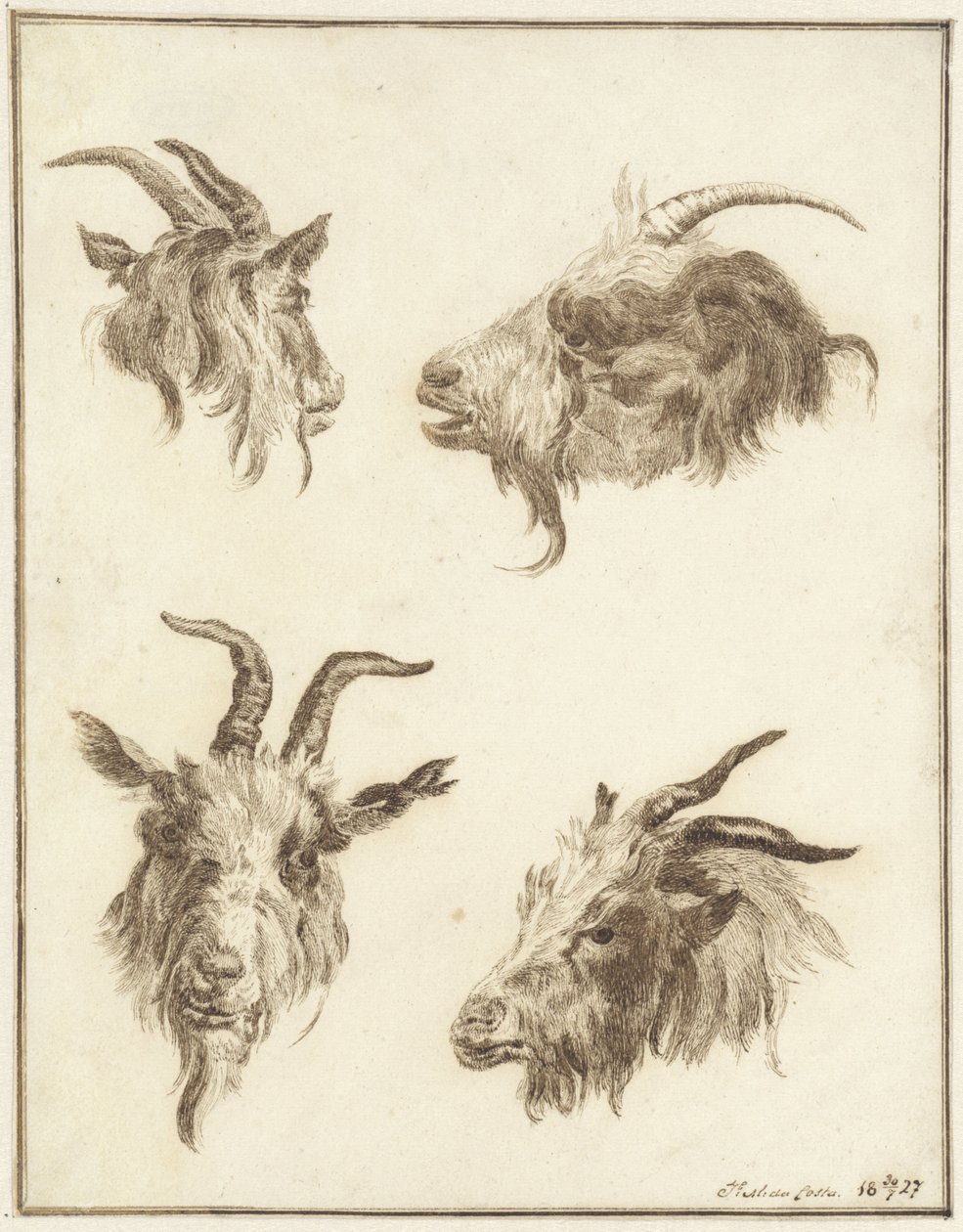 Quatro estudos de cabeças de cabra de Joseph Mendes da Costa