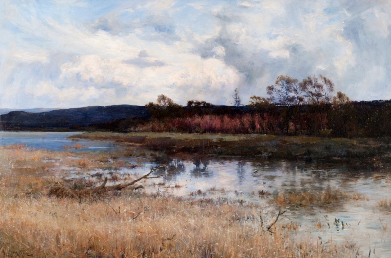 Tay Backwater, Kinfauns, Perthshire de Joseph Milne