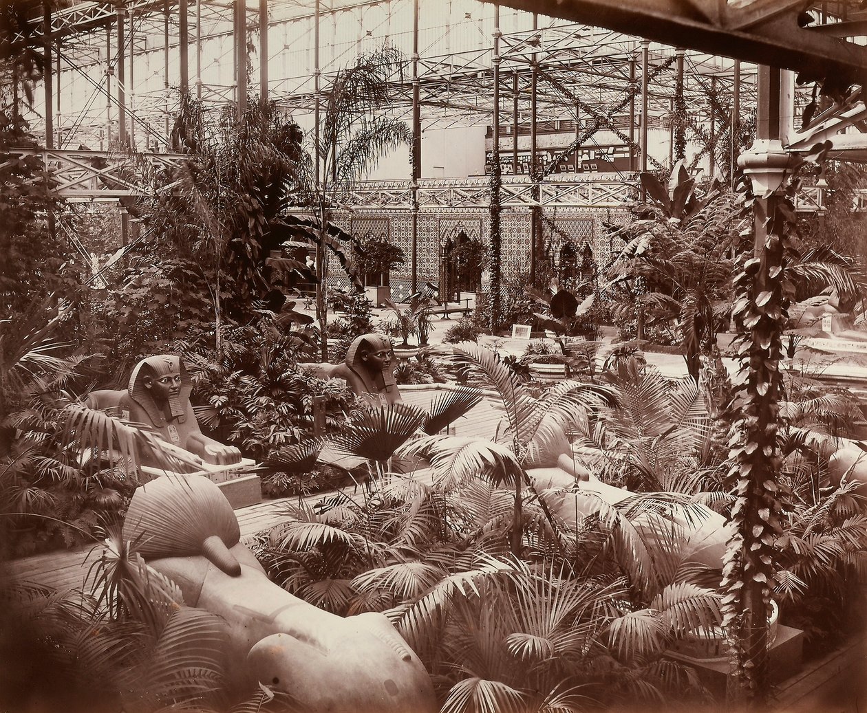 O Palácio de Cristal em Londres: a secção tropical, c.1870 (foto a p/b) de Joseph Paxton