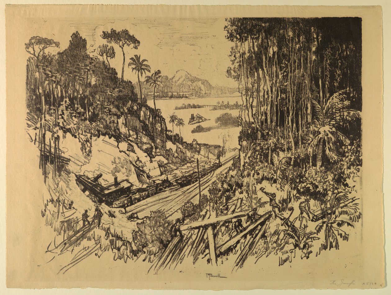 A selva: a velha estrada de ferro da nova de Joseph Pennell
