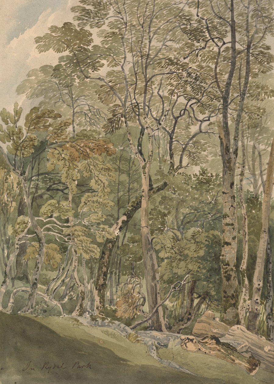 Em Rydal Park de Joseph Powell