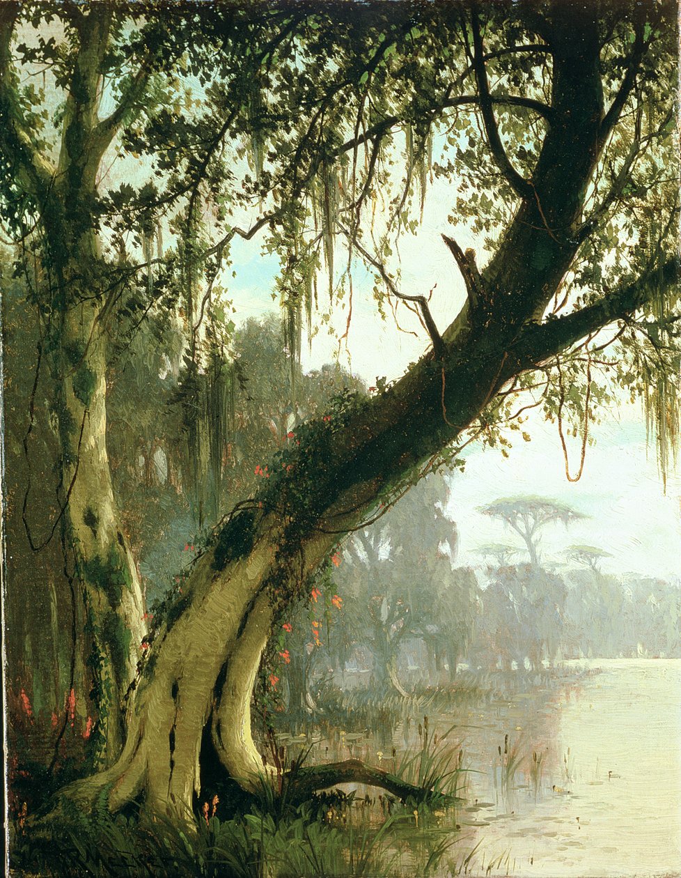 No Bayou de Joseph Rusling Meeker