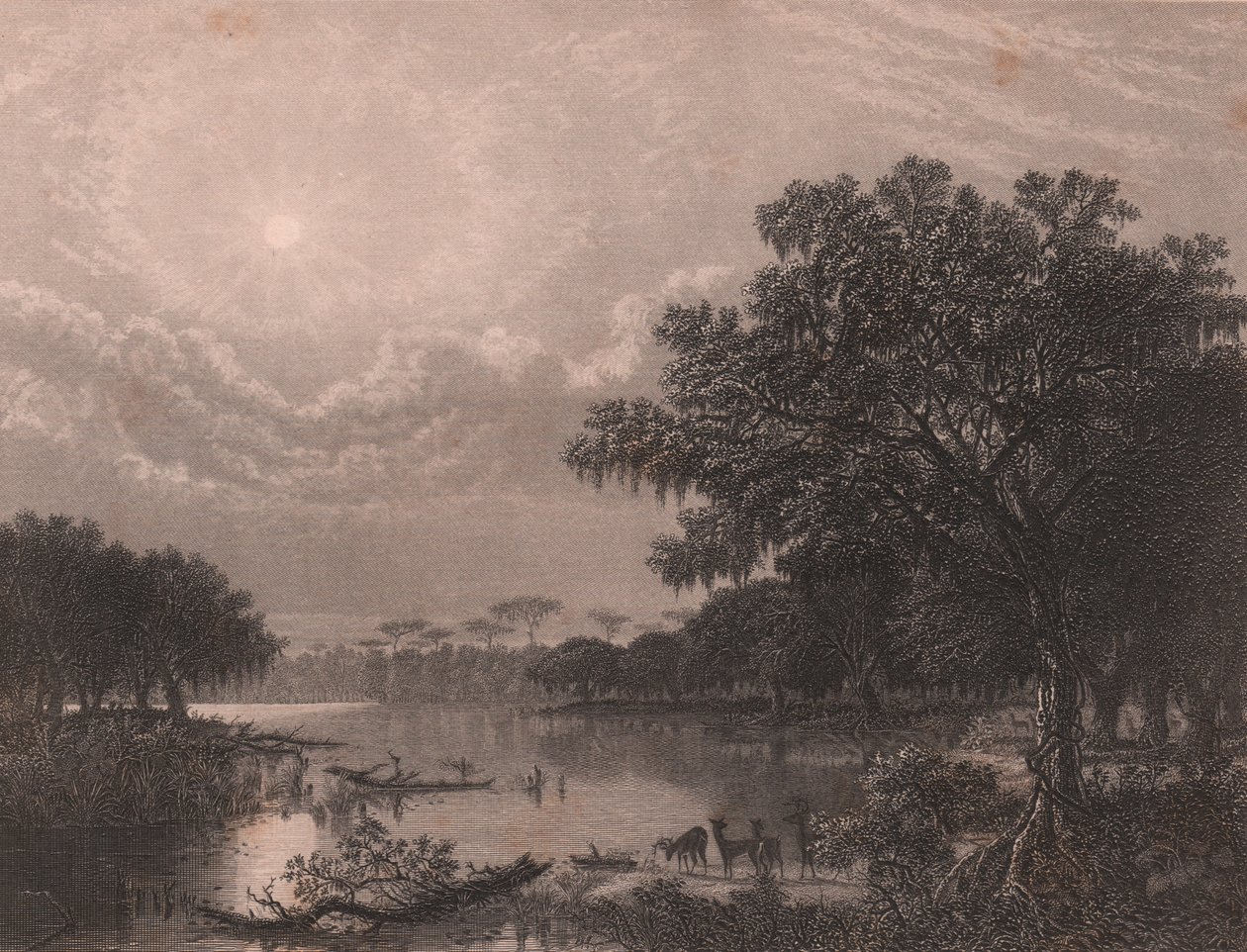 Louisiana Bayou, Estados Unidos, gravura em metal aço de Robert Hinshelwood (1812-depois de 1875) após pintura de Joseph Rusling Meeker (1827-1889), cerca de 16x18 cm de Joseph Rusling Meeker