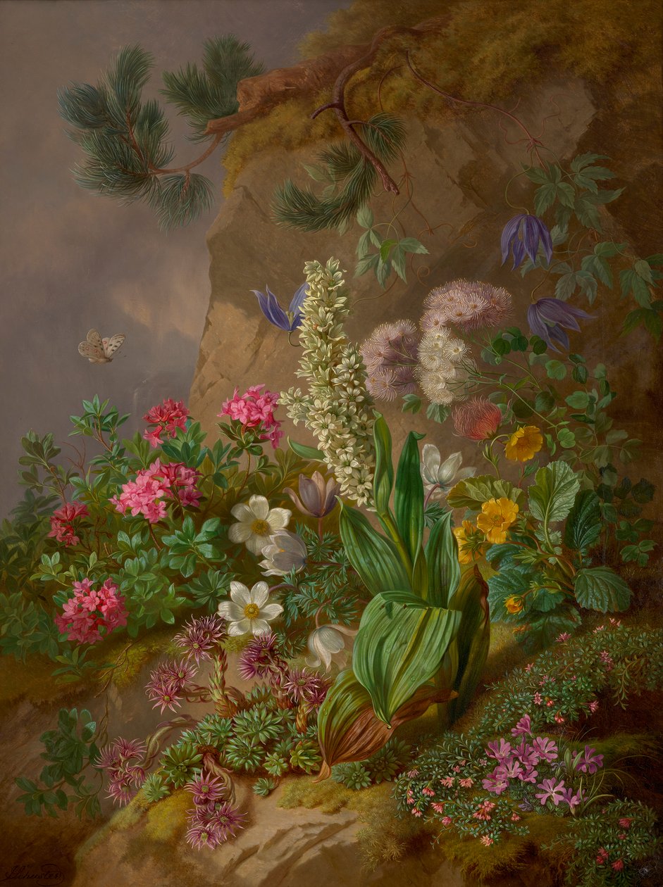 Alpenblumen de Joseph Schuster