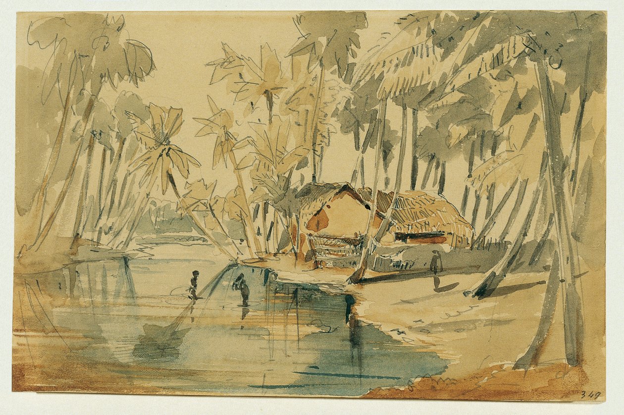 Palmeiral no Ceilão (Sri Lanka) de Joseph Selleny