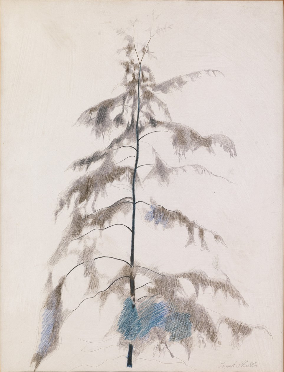 Pinheiro de Joseph Stella