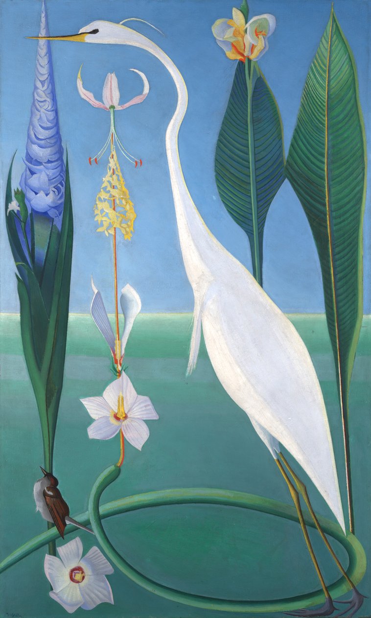 A garça branca de Joseph Stella