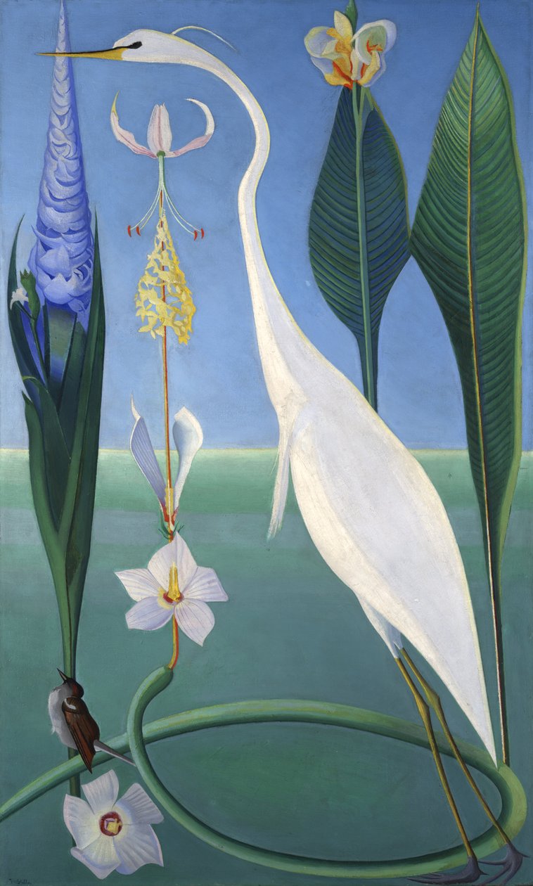 A garça branca de Joseph Stella