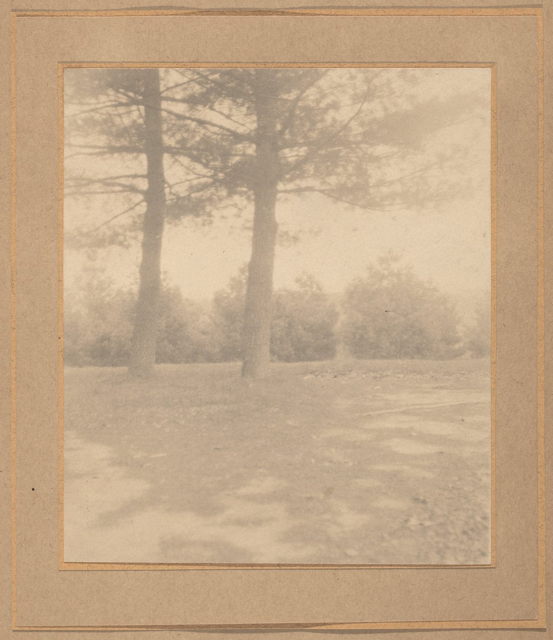 Paisagem com árvores,c. 1900 (foto) de Joseph T. Keiley
