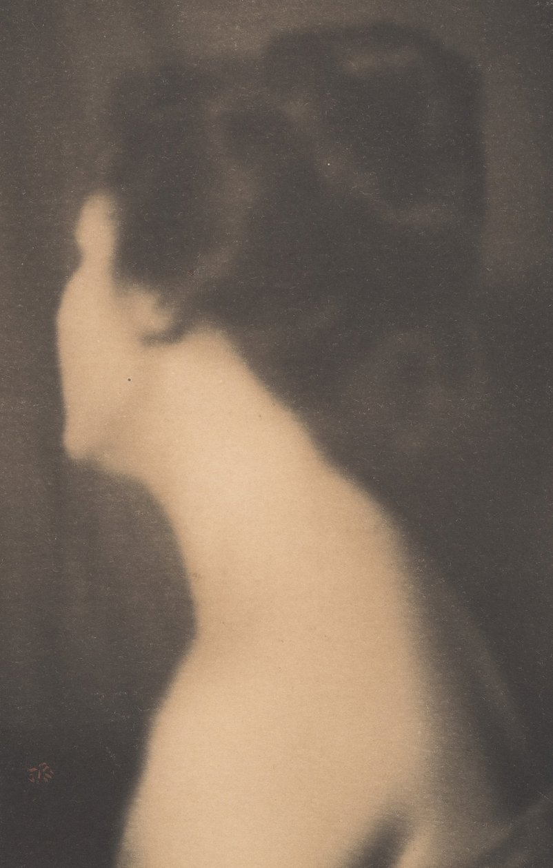 The Averted Head - A Study in Flesh Tones, 1899. de Joseph Turner Keiley