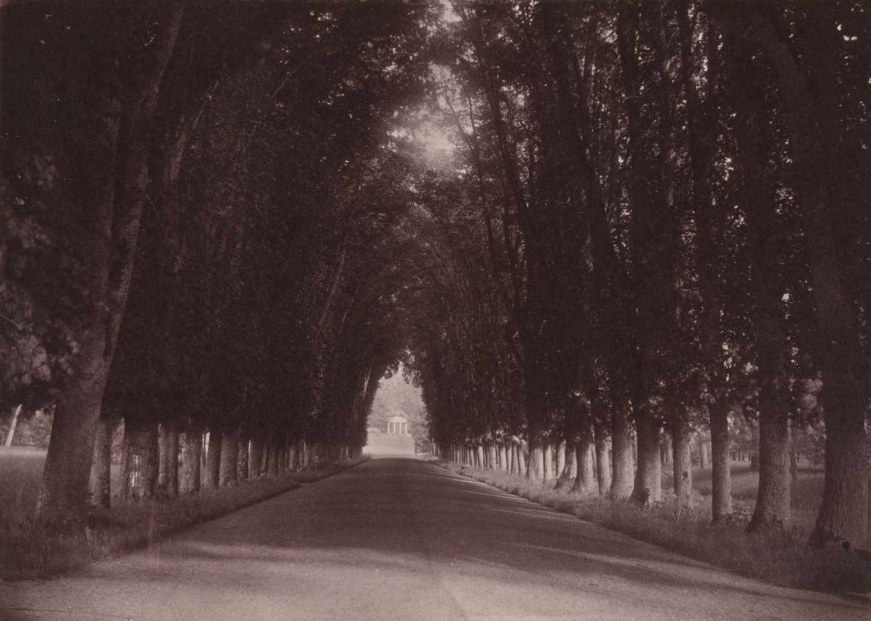 Entrada de automóveis, Château de Grand-Vaux, Savigny-sur-Orge, casa da família Vigier, c. 1855 (foto) de Joseph Vigier