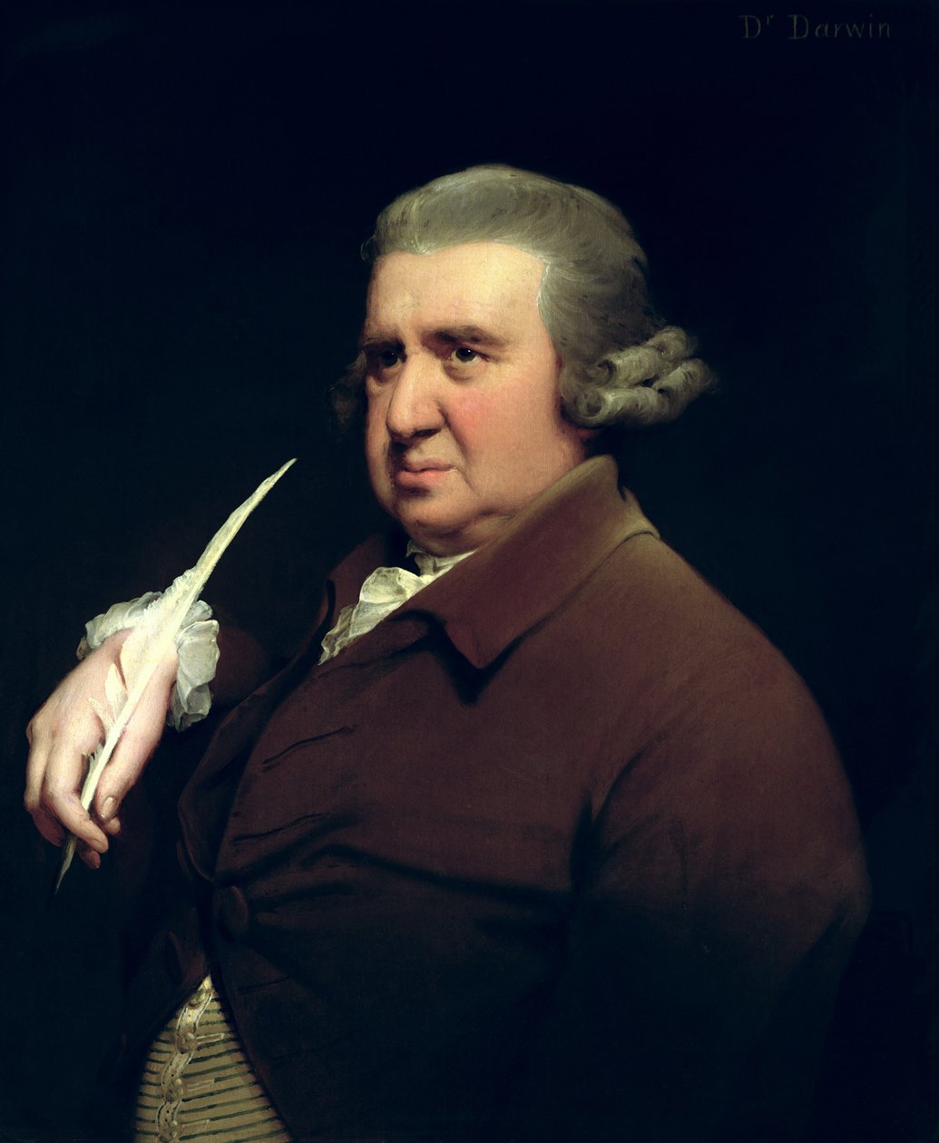 Retrato do Dr. Erasmus Darwin (1731-1802), cientista, inventor e poeta, avô de Charles Darwin de Joseph Wright of Derby