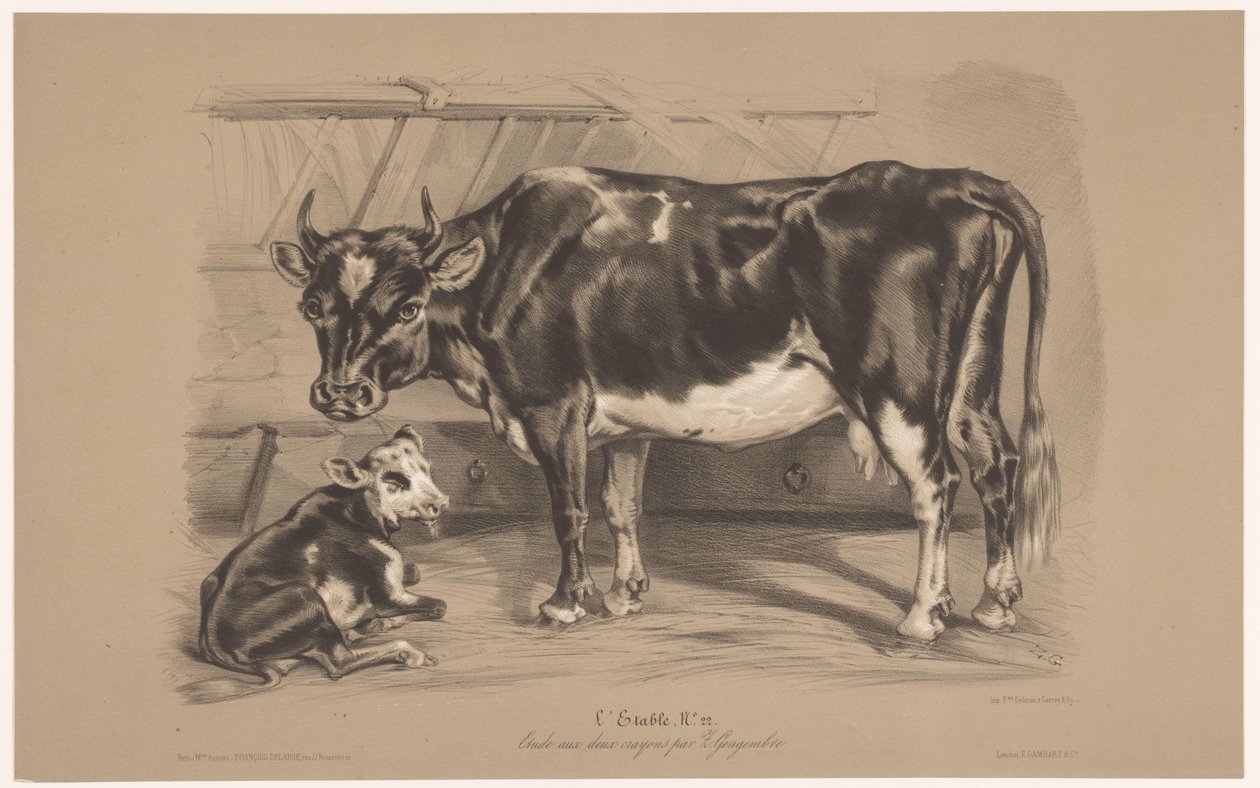Vaca com bezerro num estábulo
L