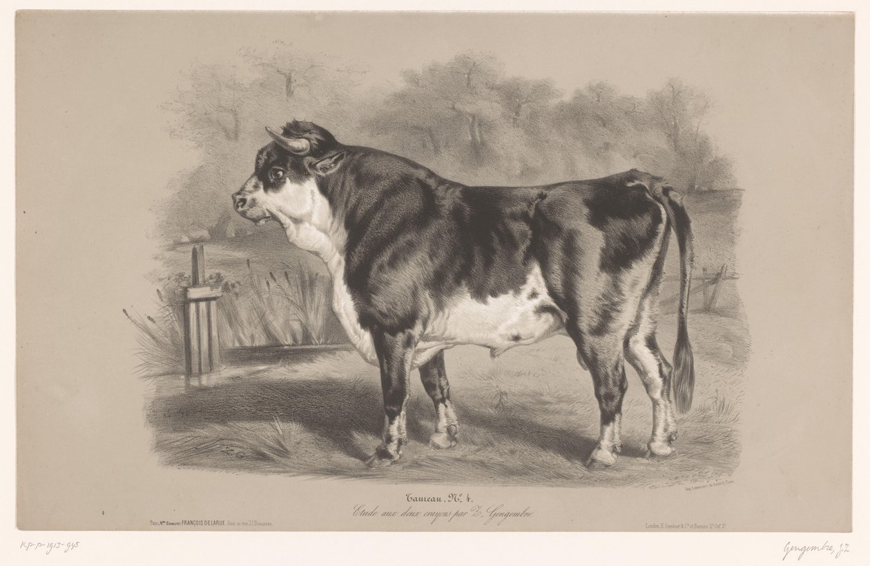 Touro num prado
Taureau (título sobre o objecto)
Estudos com animais em dois tipos de giz (título da série)
Étude aux deux crayons par Z. Gengembre (título da série sobre o objecto) de Joseph Zephyris Gengembre