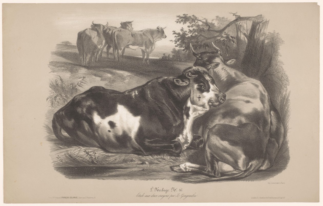 Cinco vacas num prado
L