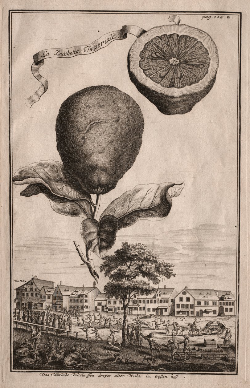 Nurmbergische Hesperides: A Luchetta Imoperiale de Joseph de Montalegre