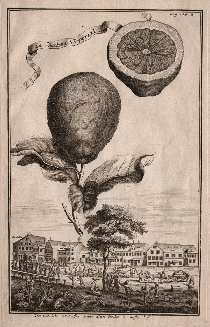 Hesperides Nurnbergische: A Luchetta Imoperiale, 1714. de Joseph de Montalegre