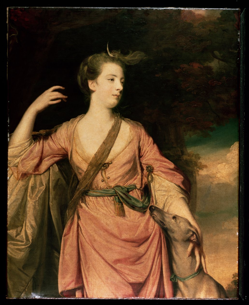 Lady Dawson c.1763 de Joshua Reynolds