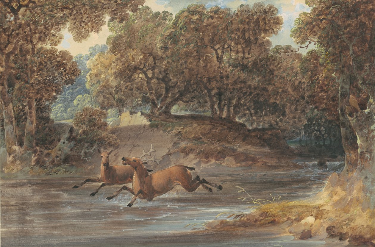 Paisagem com veados, Carolina do Norte, c.1820 (wc e guache sobre grafite sobre papel) de Joshua H. Shaw