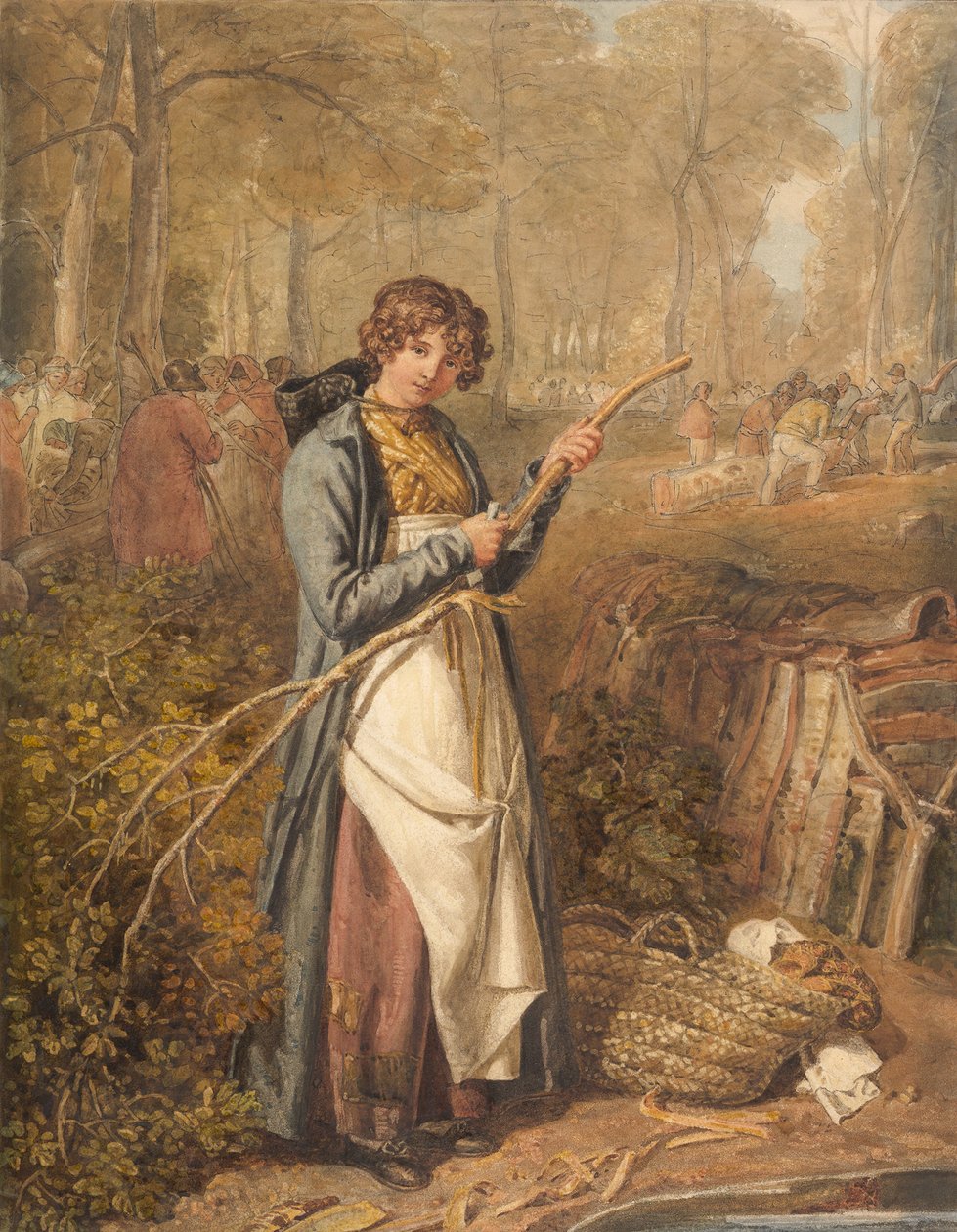 Barking Timber em Wychwood Forest, Oxfordshire, 1818. de Joshua Cristall