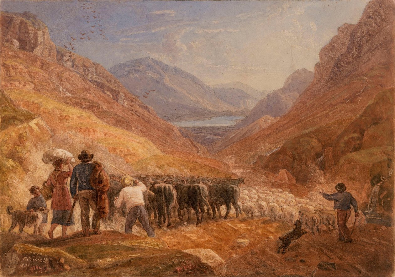 Pastores a conduzir gado bovino e ovelhas através da passagem de Tal-y-Llyn, País de Gales de Joshua Cristall