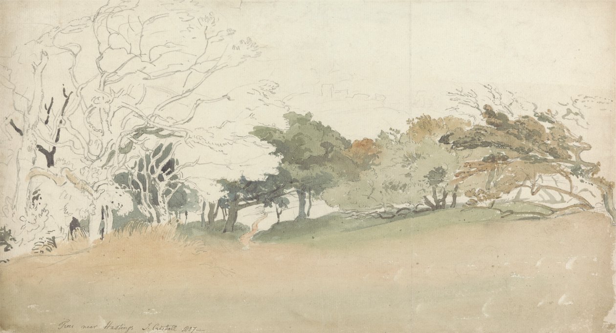 Árvores perto de Hastings de Joshua Cristall