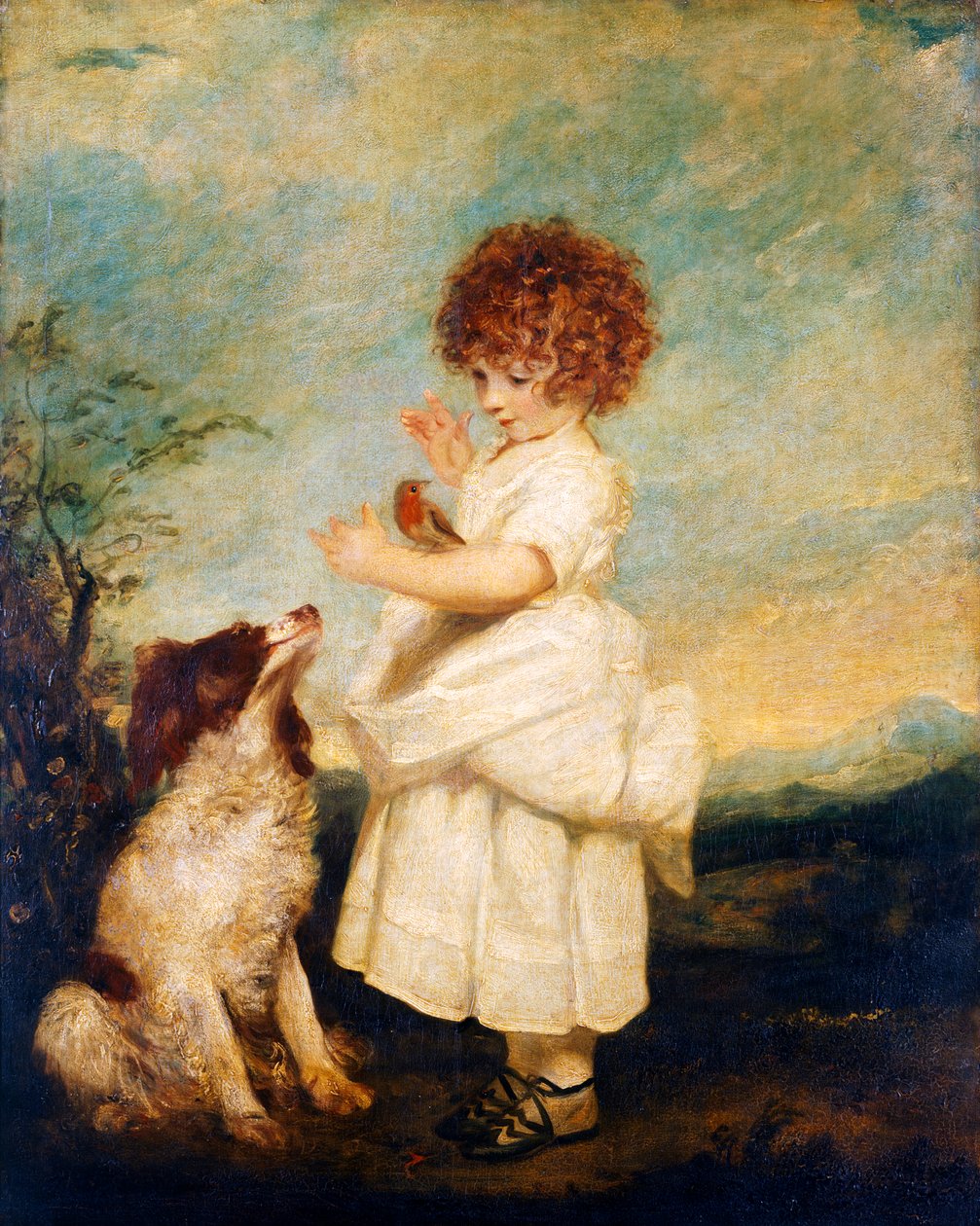 Mestre Philip Yorke, mais tarde Visconde Royston de Joshua Reynolds