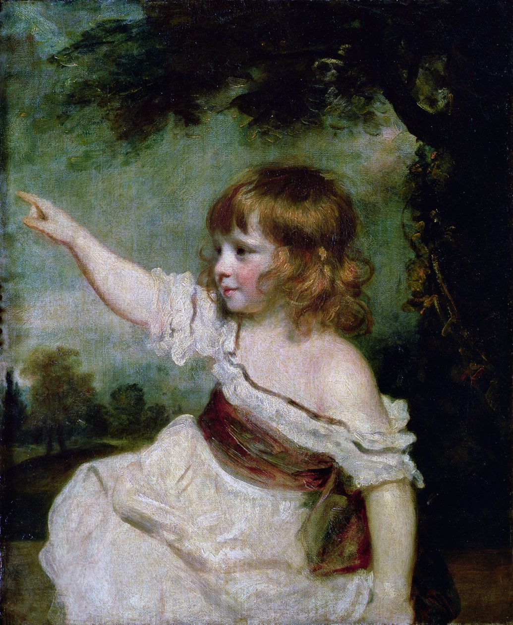 Retrato de Francis George Hare, filho mais velho de Francis Hare Naylor (1753-1815) 1788-9 de Joshua Reynolds