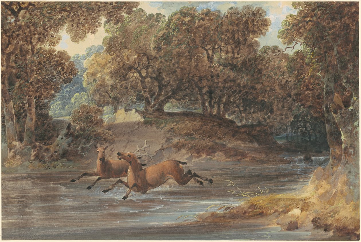 Paisagem com veados, Carolina do Norte de Joshua Shaw