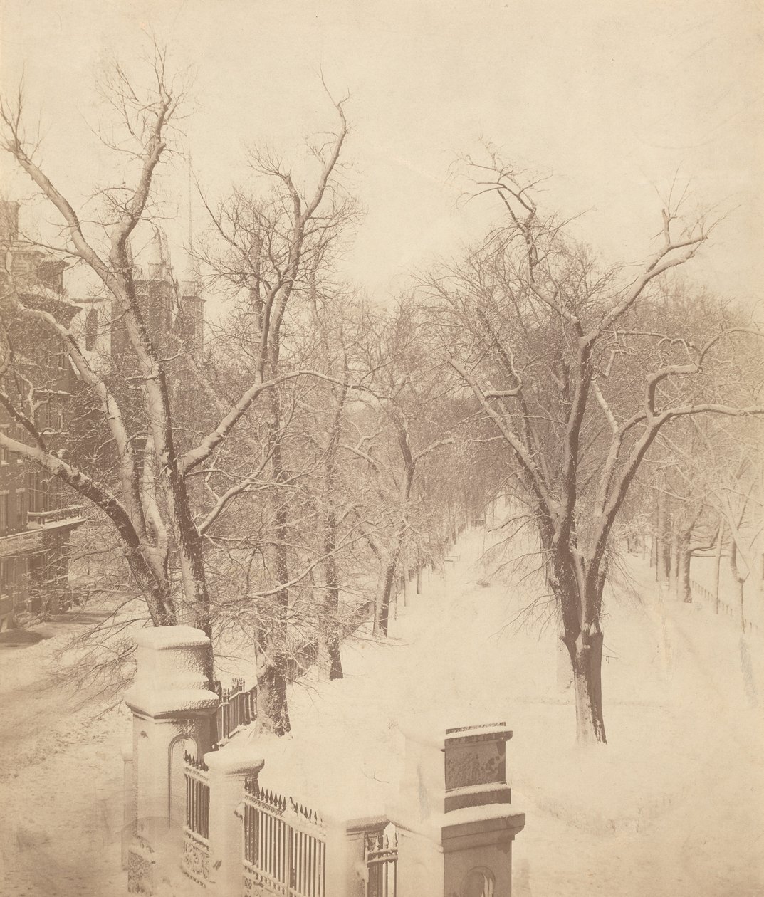 Cena de neve em Boston Common, década de 1850 (foto) de Josiah Johnson Hawes