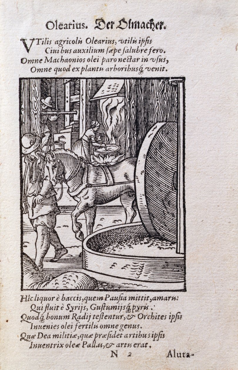 Oil Maker, ilustração da edição latina do 