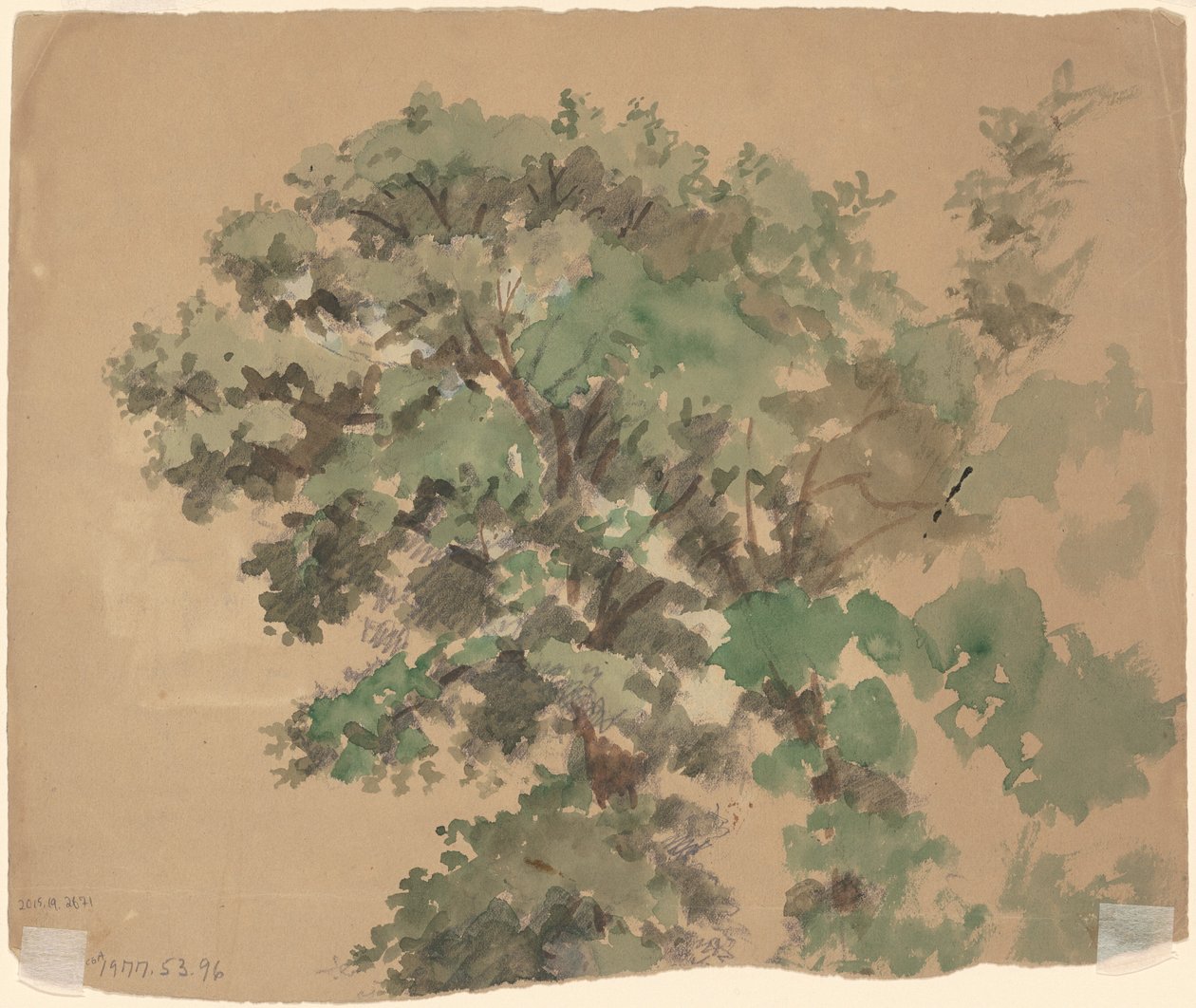 Árvore [verso] de Jr. Enoch Wood Perry