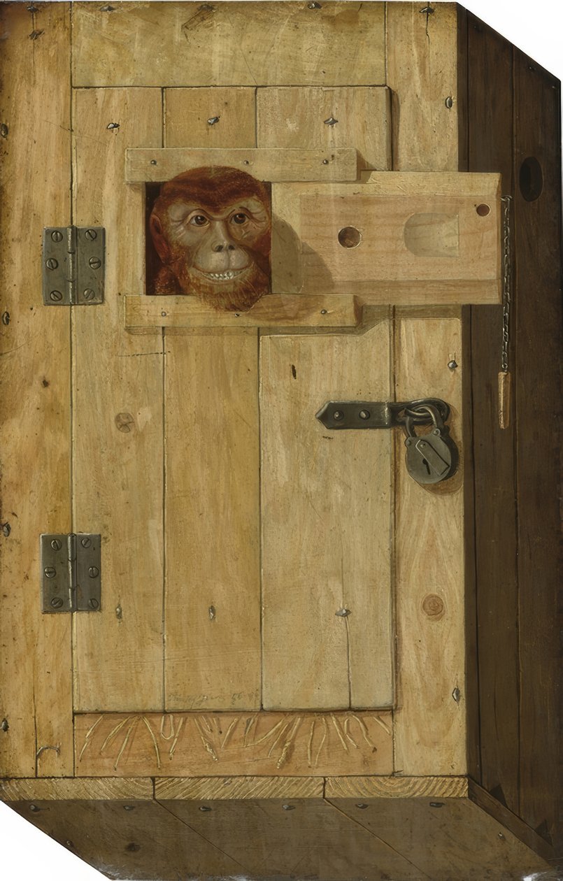 Macaco em uma caixa de madeira de Jòsef Trajtler