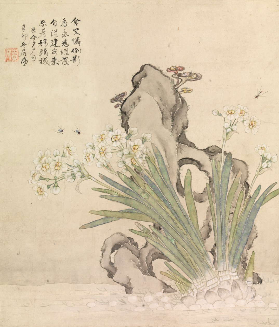 Narciso, Rock, abelhas e Linghzhi de Ju Lian