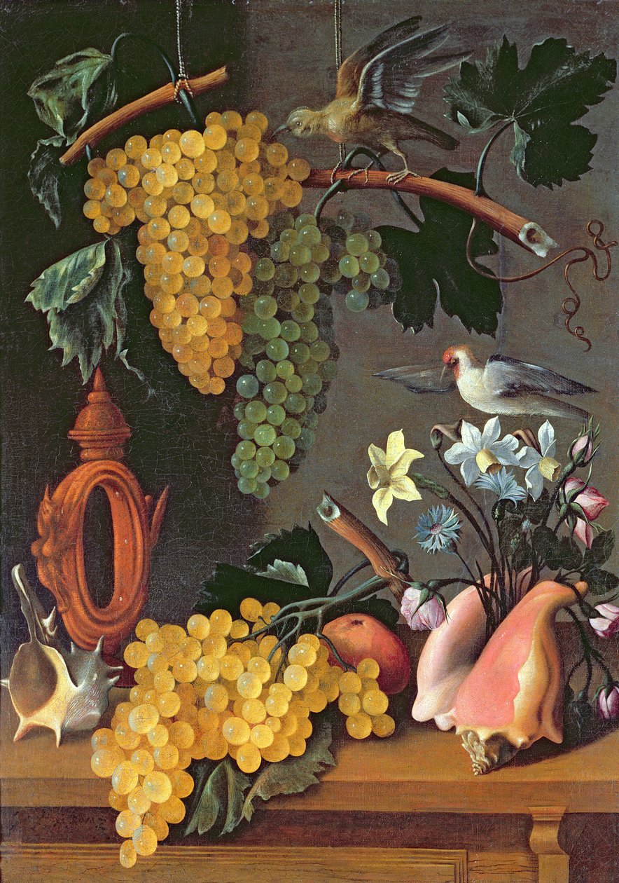Ainda vida com uvas, pássaros, flores e conchas de Juan de Espinosa