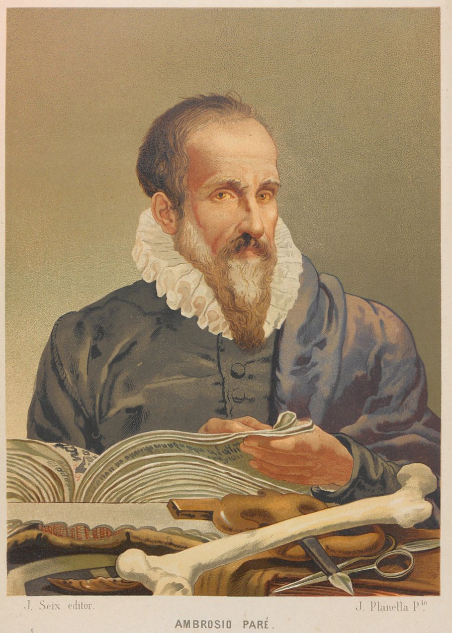 Retrato de Ambroise Paré, 1879. de Juan Planella y Rodríguez
