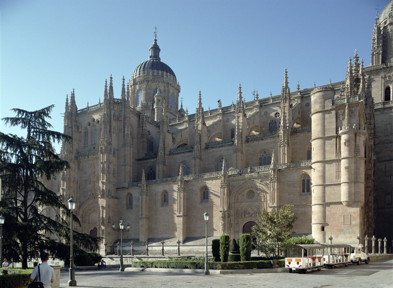 Vista de manhã cedo da nova catedral, a Fachada noroeste, começou em 1512 de Juan de & Rodrigo Gile de Hontanon