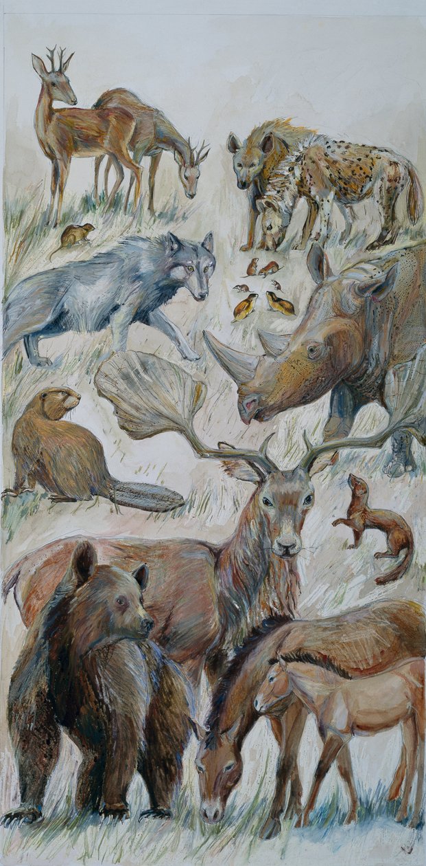 Animais de Boxgrove identificados por escavação (aguarela sobre papel) de Judith Dobie