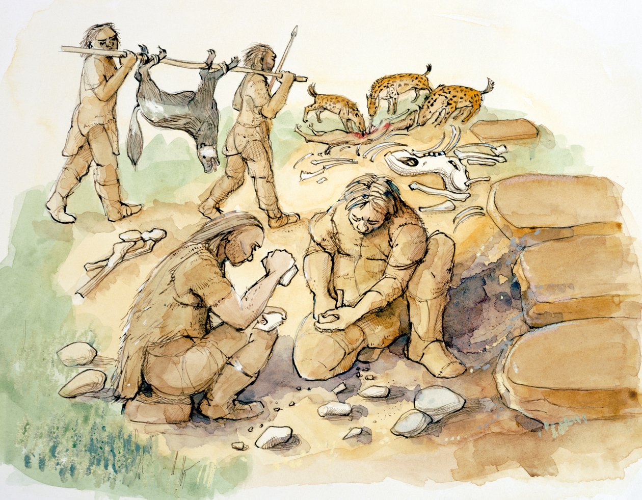 Hominídios e Hienas, Paleolítico Superior, c1990-2010 de Judith Dobie