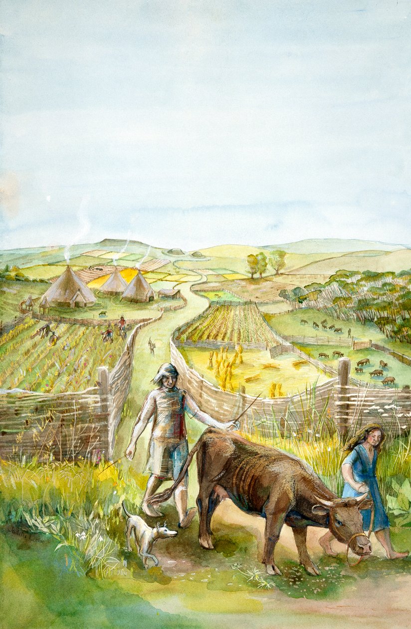 Paisagem rural, 2000 aC, c1990-2010 de Judith Dobie
