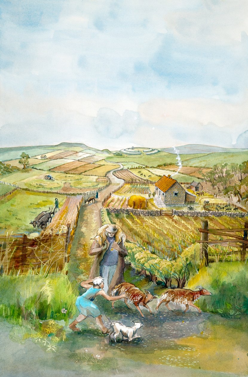 Paisagem rural, século III, c1990-2010 de Judith Dobie