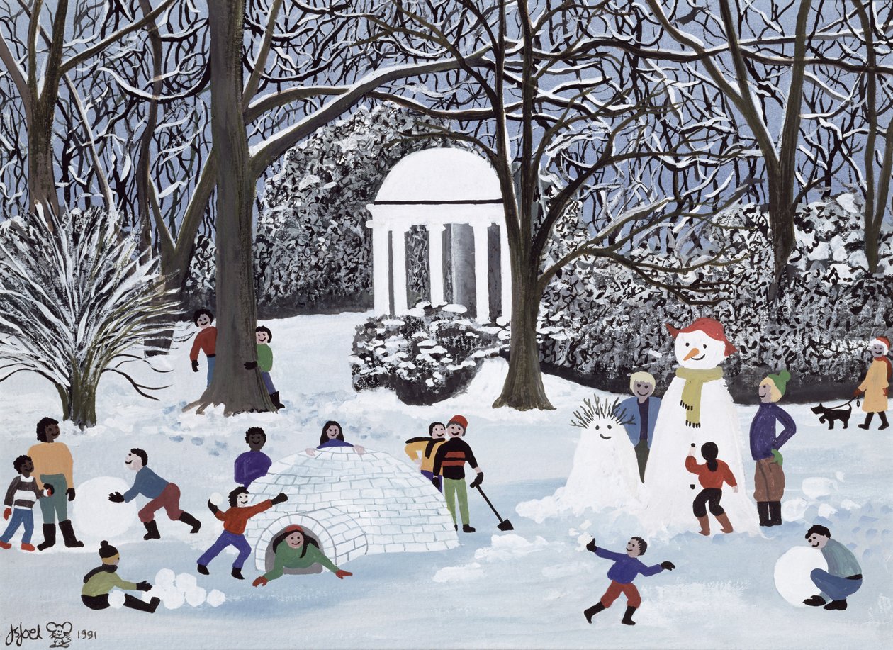 Snow Follies de Judy Joel