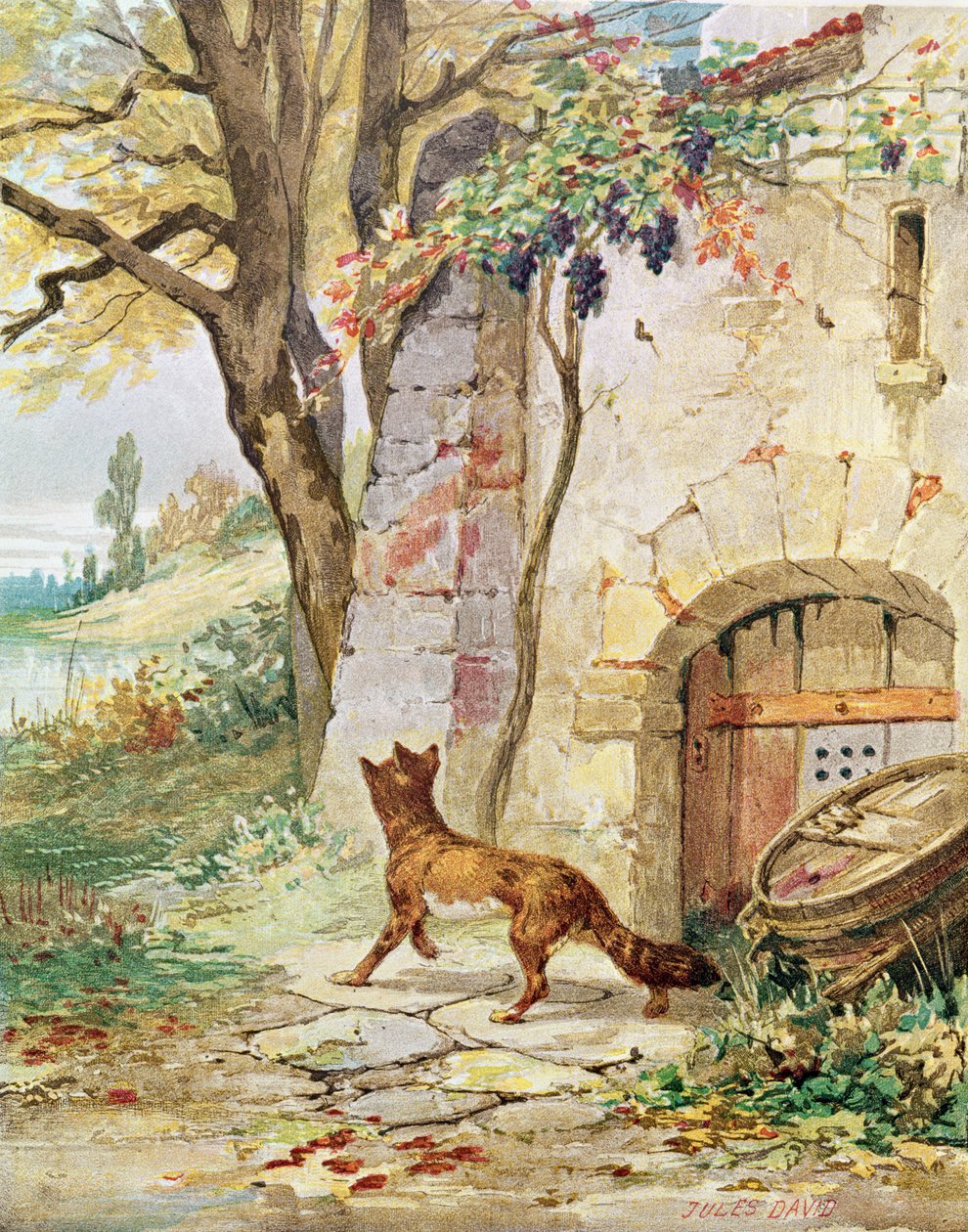 A raposa e as uvas, ilustração para &39;fábulas&39; por Jean de La Fontaine (1621-95) de Jules David