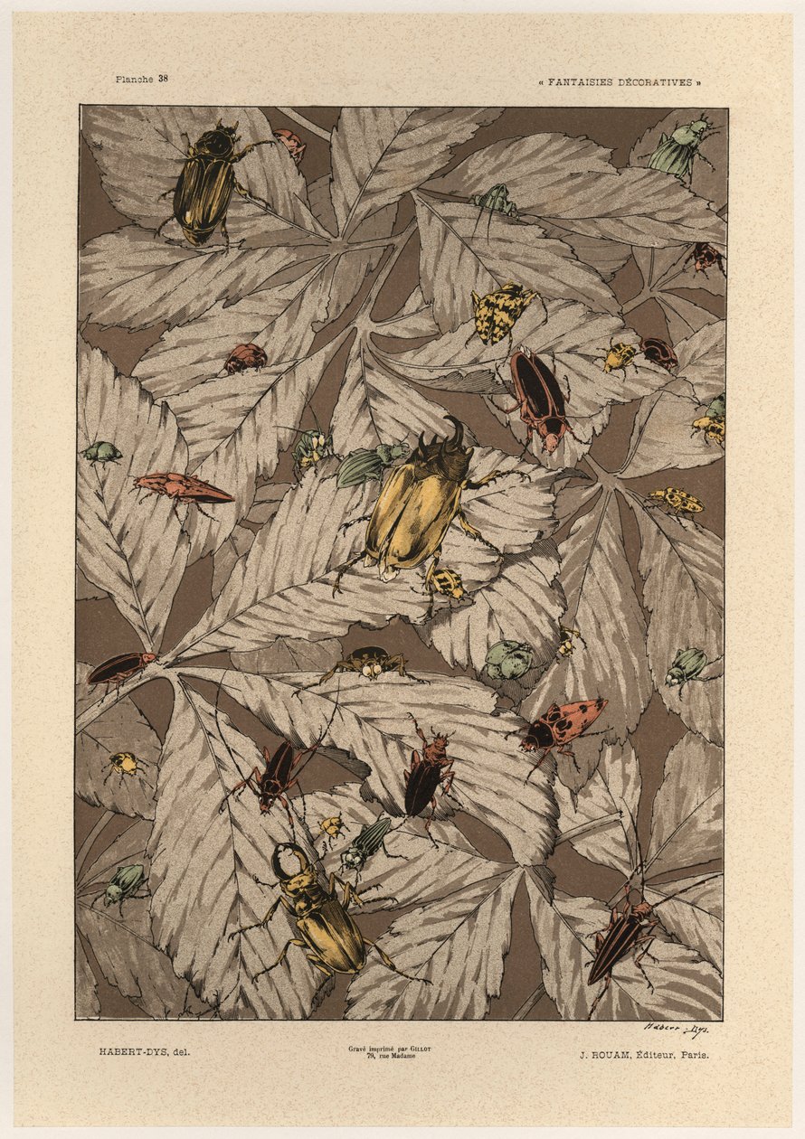 Besouros, placa 38 de &39;Fantasias Decorativas&39;, gravada por Gillot, publicada por Jules Rouam, Livraria de Arte, Paris, 1887 (gravura a cor) de Jules Auguste Habert Dys